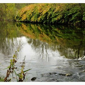 Herbst an der Ahr
