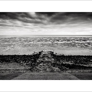 20250129-L1005774-Bearbeitet.JPG
