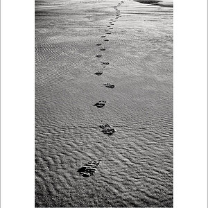 20250130-L1005832-Bearbeitet.JPG