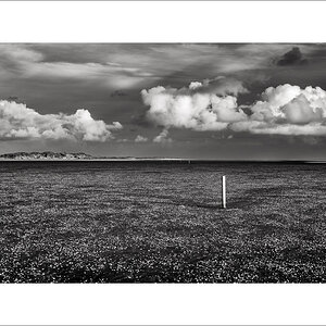 20250130-L1005808-Bearbeitet.JPG