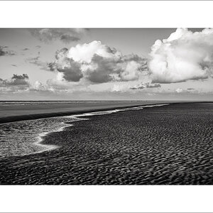 20250130-L1005826-Bearbeitet.JPG