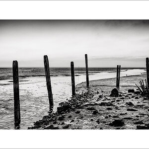 20250131-L1005871-Bearbeitet.JPG