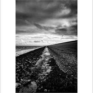 20250129-L1005776-Bearbeitet.JPG
