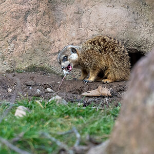 20250202-NZ7_1882.jpg