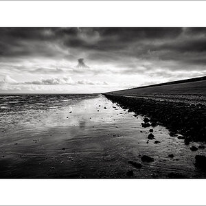 20250129-L1005780-Bearbeitet.JPG