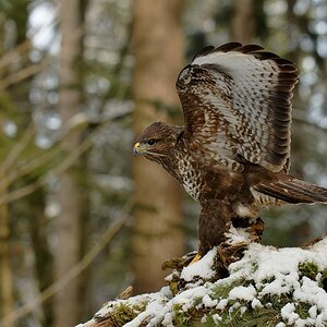 2025_000353_DxO.jpg