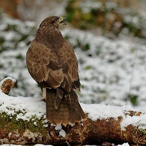 2025_000411_DxO.jpg