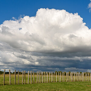OF2_70419.jpg