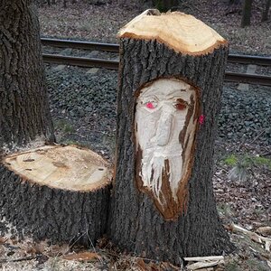 Kunst am Baum.jpg