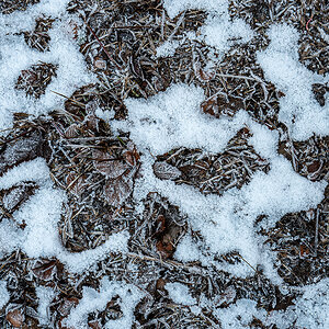 Schnee.jpg