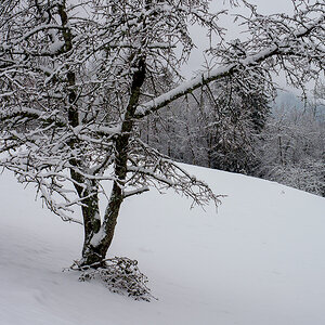 Erschwil_PA014811_12neu.jpg