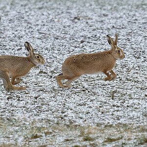 2025_014055_DxO.jpg