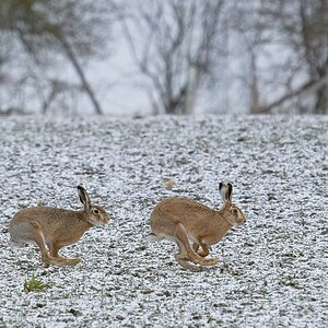 2025_014066_DxO.jpg