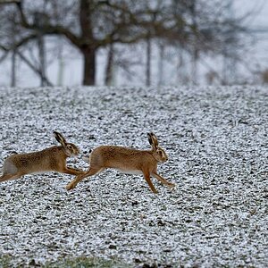 2025_014074_DxO.jpg