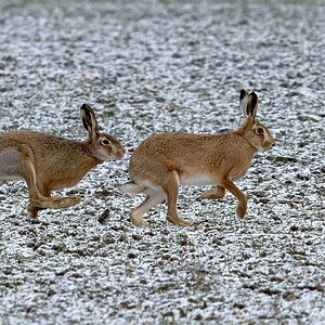 2025_014099_DxO.jpg