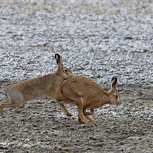 2025_014168_DxO.jpg