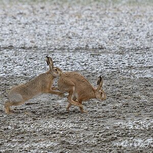 2025_014174_DxO.jpg