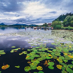 Hopfensee