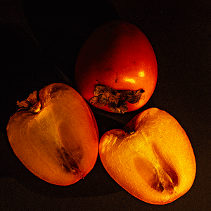 P2160027.gif
