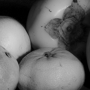 P2160019.gif