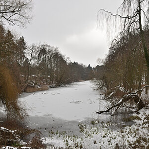 DSC_2459.JPG