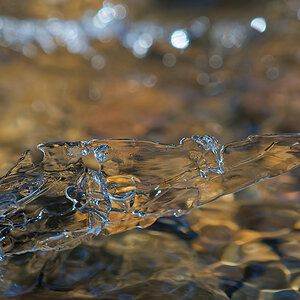 N2181019nikon.jpg