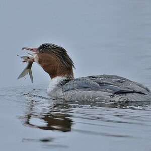 2025_006697_DxO.jpg