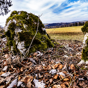P2210005-2.gif