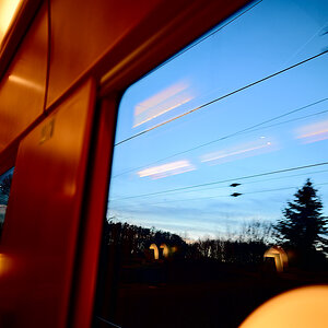 IMG_2025-02-23-180514.jpeg