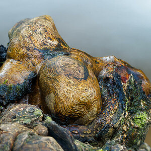 P2123396nikon.jpg
