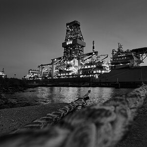 Z8A_6613_2.jpg