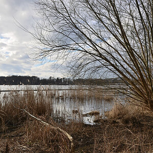DSC_2466.JPG