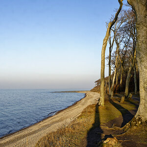 Gespensterwald1