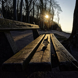 Gespensterwald2