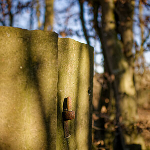 DSC_5255.jpg