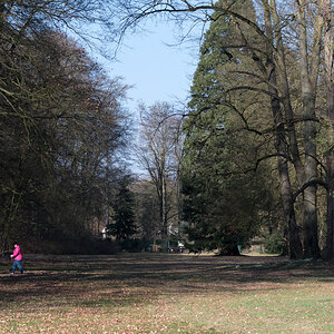 250306-003.jpg