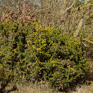 P1181310_DxOAxl.jpg