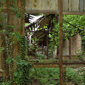 DSC_0411.JPG