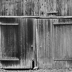 Altes Scheunentor BW_2.jpg