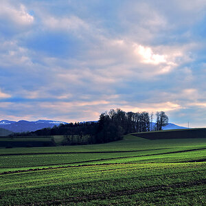 Brislach_Q1002113_12.jpg