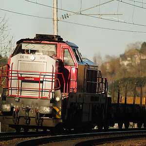 DSC_0599-1200.jpg