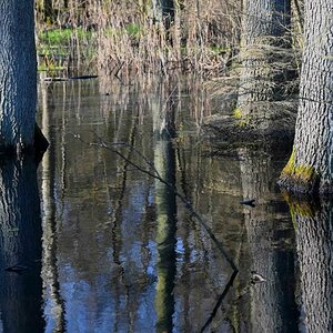 Lüder Moor 3.jpg