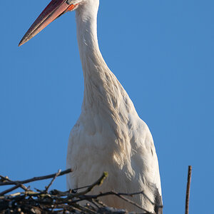 DSC_5901.JPG