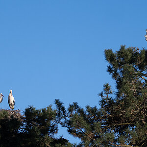 DSC_5971.JPG