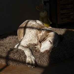 Sonnenstrahlen