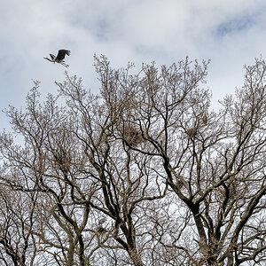 20250323-NZ7_2204.jpg