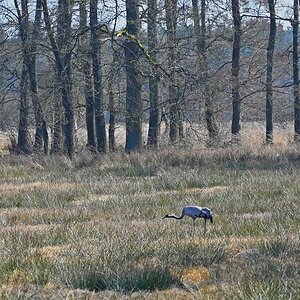 Lüder Moor 5.jpg