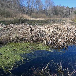 Lüder Moor 4.jpg