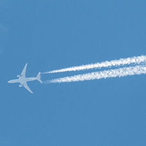 250329-003.jpg