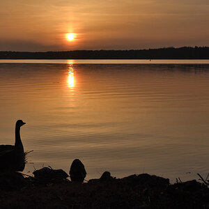 DSC_2949.JPG
